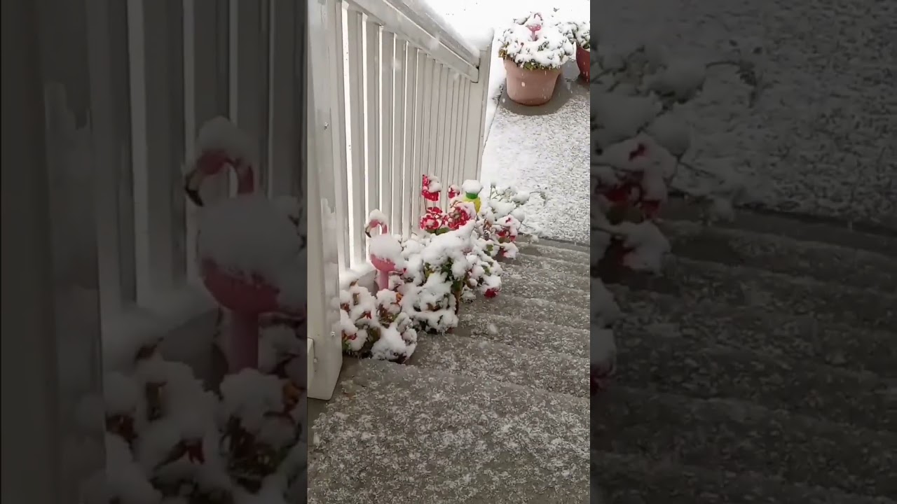 Our FIRST SNOW White Rain YouTube