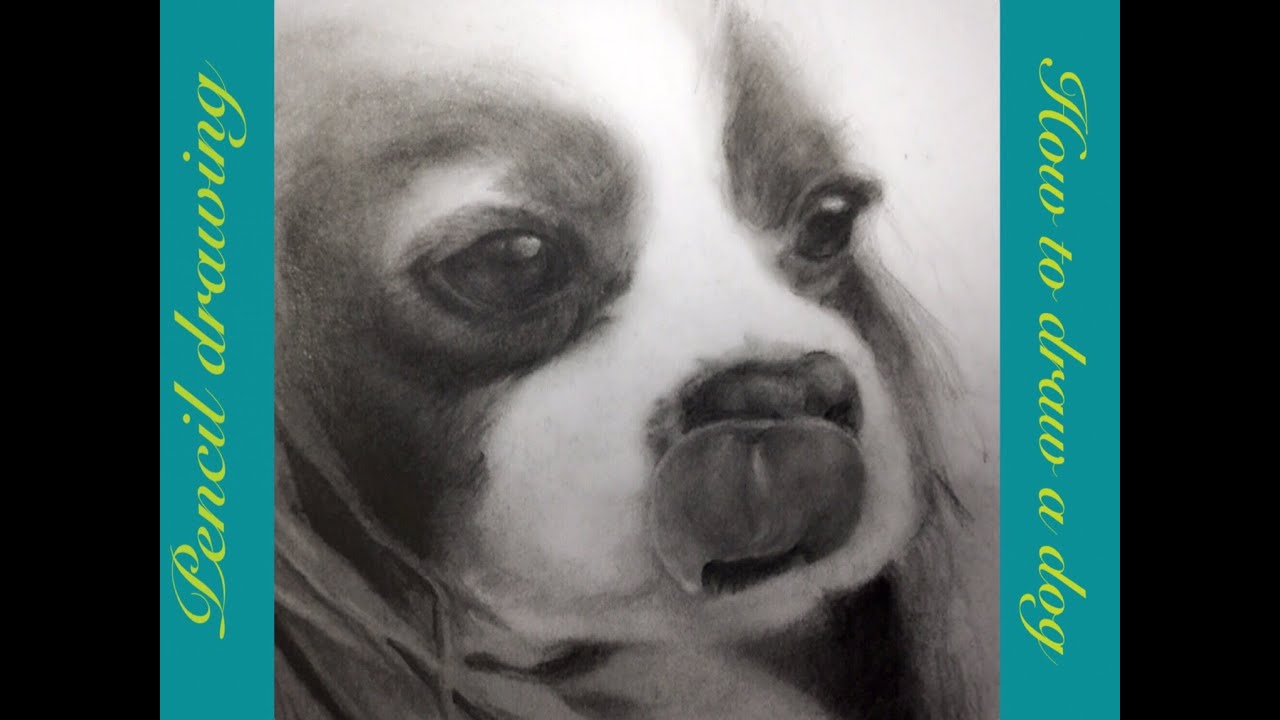 リアルな鉛筆画 デッサン 早送り動画 Pencil Drawing Realistic Art How To Draw A Dog