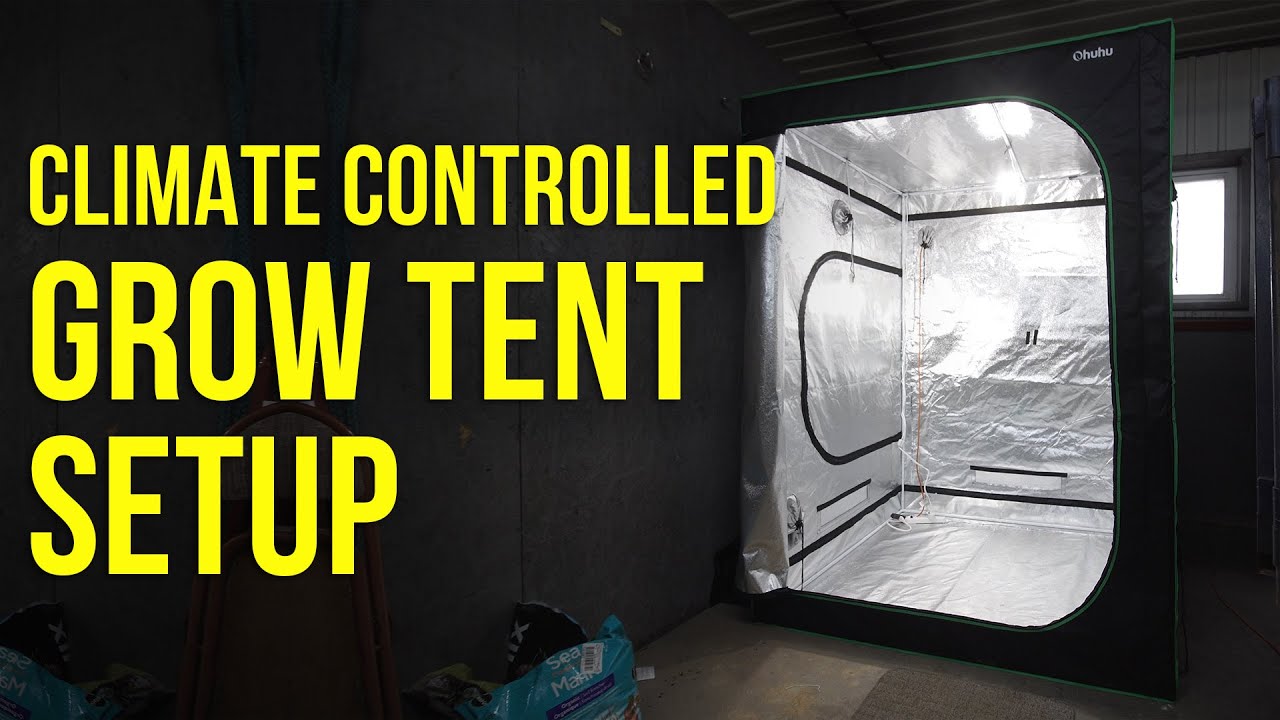 The Best Grow Tent Set Up? Climate Controlled Grow Tent