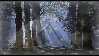 Midsummer Song - Frederick Delius