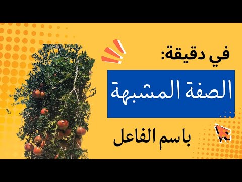 في دقيقة الصفة المشبهة باسم الفاعل