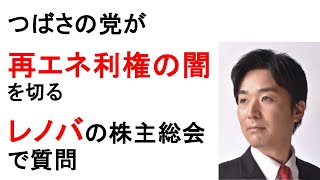 つばさの党が、再エネ利権の闇を切る、レノバの株主総会で質問！