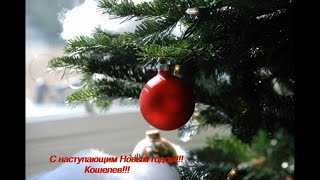 картинка: Кошелев Проект Калуга / Koshelev Kaluga Project