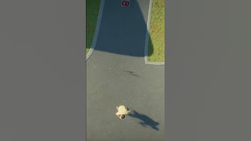 Compy on the Loose! 🦖 Tiny Dino Chaos in Jurassic World Evolution 2