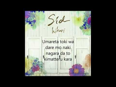 Hikari Video