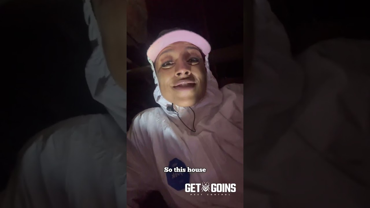 Subterranean termites in crawlspace!