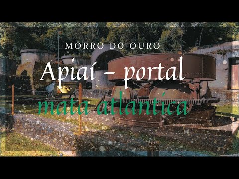 VISITA AO PORTAL  DA MATA ATLÂNTICA  APIAI ,   MORRO DO OURO. -  EP. 29/20 -  # MY DAY