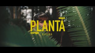 Dalsin, Adonai - PLANTA (GioProd)