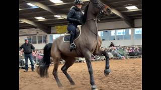 Horse is terrified of receiving its reward!!
