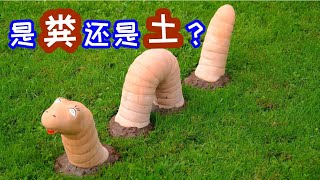 你收集的可能不是什么蚯蚓粪，而是一坨土 ！