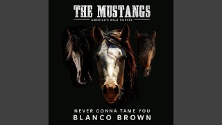 Never Gonna Tame You (Original Song from “The Mustangs: America’s Wild Horses”) - Blanco Brown