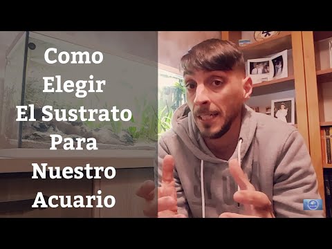 Video: Cómo Elegir Un Sustrato Para Un Acuario