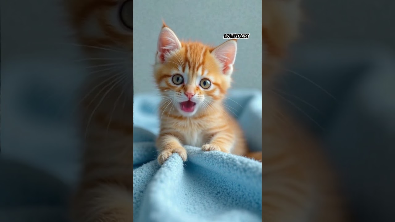 Shooo cute 🥹🥹🥹🥹