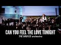 라이온킹 OST - 『Can you feel the love tonight』 / THE BRIDGE orchestra | Korea-Japan BigBand 한일연합빅밴드