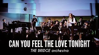 [orchestra] Can you feel the love tonight (라이온킹 OST)
