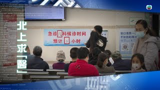 TVB 新聞透視｜北上求「醫」 (繁／簡字幕)｜ 無線新聞 TVB News