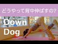 Down Dogで背中を伸ばす方法 - DAY 8の前に -