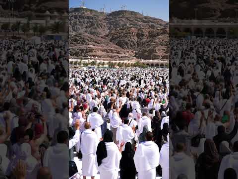 يوم عرفة لحظات إيمانية مهيبة في صعيد عرفات 