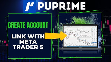 ✅ How to Create and Connect or Link Puprime Account to MetaTrader 5 (MT5) - PC or Laptop