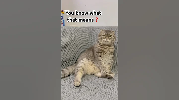 Video 6583621: cats catlover kitten cute, cats kitten funny catlover, drawing cute cats kittens