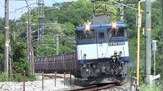 【積載率100%】JR貨物 EF64-1004号機牽引 3082レ貨物列車