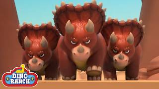 🦕 Lost Baby Triceratops Rescue! | Dino Ranch | Cartoons For Kids