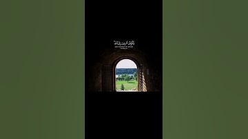 سورة غافر بصوت القارئ عبدالباسط عبدالصمد