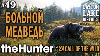 theHunter call of the wild #49 🔫 - Больной Медведь - Винтовка - Олень, Медведь