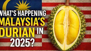The Durian Dilemma: Malaysia's 2025 Industry Crisis