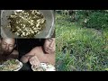Eating FROGS With My Friend At Ginger Project Part 1 Pure Naga Style Mukbang