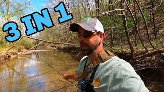 3 Creek Fishing Videos In 1 DAY