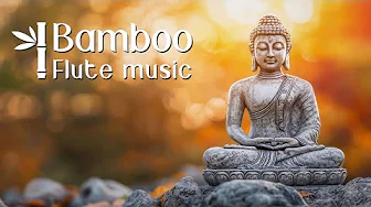 Harmony Glow • Bamboo Flute Peaceful Music • Relaxing Flute Music, Sleep, Yoga, Soothing, Zen