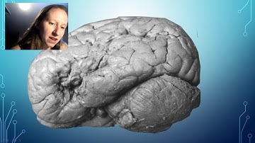 LOCALISATION OF FUNCTION EVALUATION