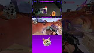 😂 TERI ACE NAHI HOGI? Friend Got Muted After This ACE!