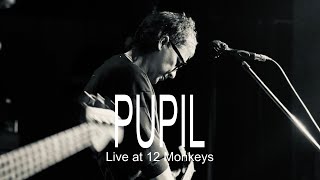 Pupil - Live at 12 Monkeys March 2 2024