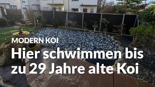 Jürgens sehr alter und mit PEBällen abgedeckter 22.000 Liter Koiteich | Modern Koi Blog #6521