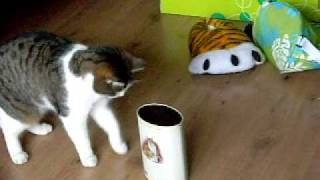 foto`s 464.avi