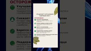 Полезные свойства ЛАВРОВОГО ЛИСТА!