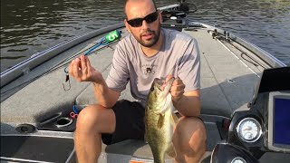 How to Properly Use A PUNCTURE CULL TAG For BASS