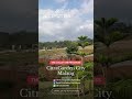 Home tour cluster the valley type piccino citragarden malang pemesanan devis 081252656999