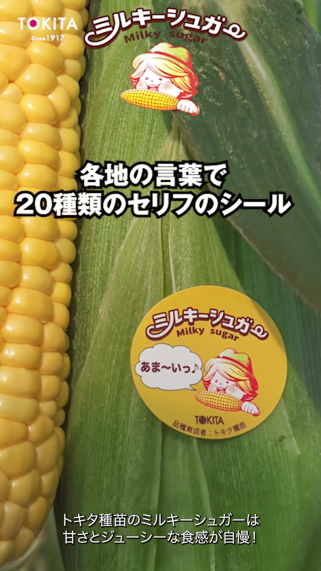 Milky Sugar Sweetcorn] [Fruit and Vegetable Sales Sticker] When