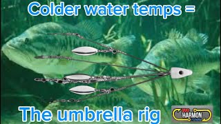 Tackle Tip Tuesday, tips for different style umbrella rigs.