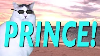 HAPPY BIRTHDAY PRINCE! - EPIC CAT Happy Birthday Song