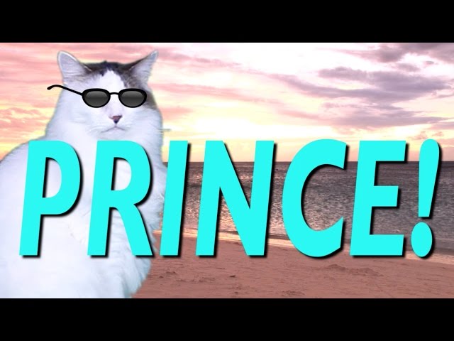 HAPPY BIRTHDAY PRINCE! - EPIC CAT Happy Birthday Song