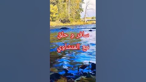 المنشاوي يتألق بإبداع من عالم آخر ـ تلاوة أسطورية فريدة ـ لله درك يا شيخ