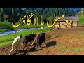 A beautiful village life of azad and jammu kashmir  amazing  natural village life  travel guide