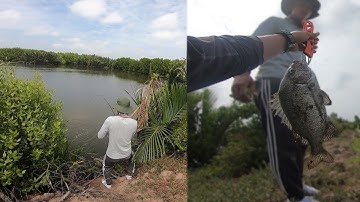 Câu cá Bình Đại mùa gió chướng