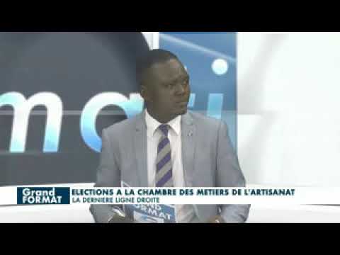 ÉLECTIONS CHAMBRE DES METIERS DE L'ARTISANAT DU BÉNIN : Point campagne électorale et suite...