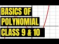 Basics of Polynomial for class 9th & 10th (NCERT)