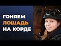 Работа с лошадью на корде / Способы крепления корды / Приспособления для работы на корде